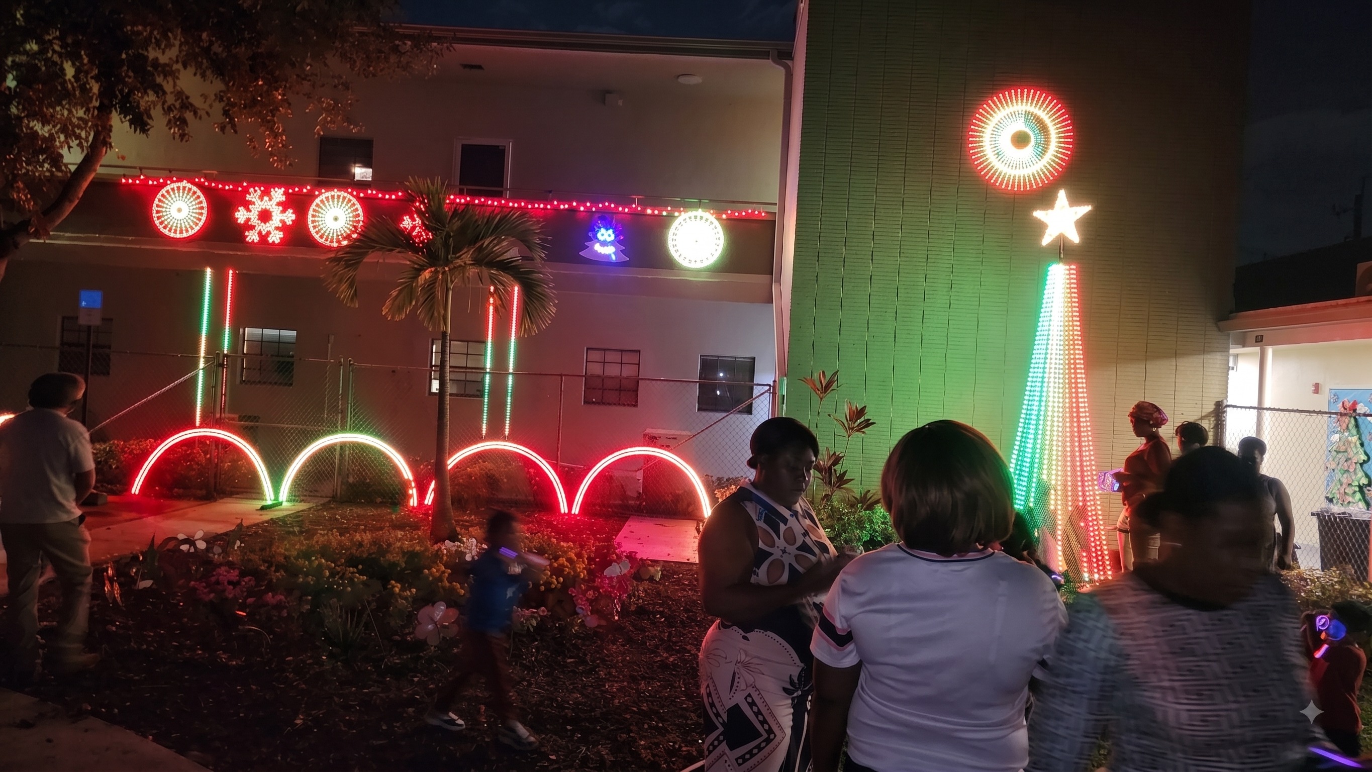 Christmas Light show